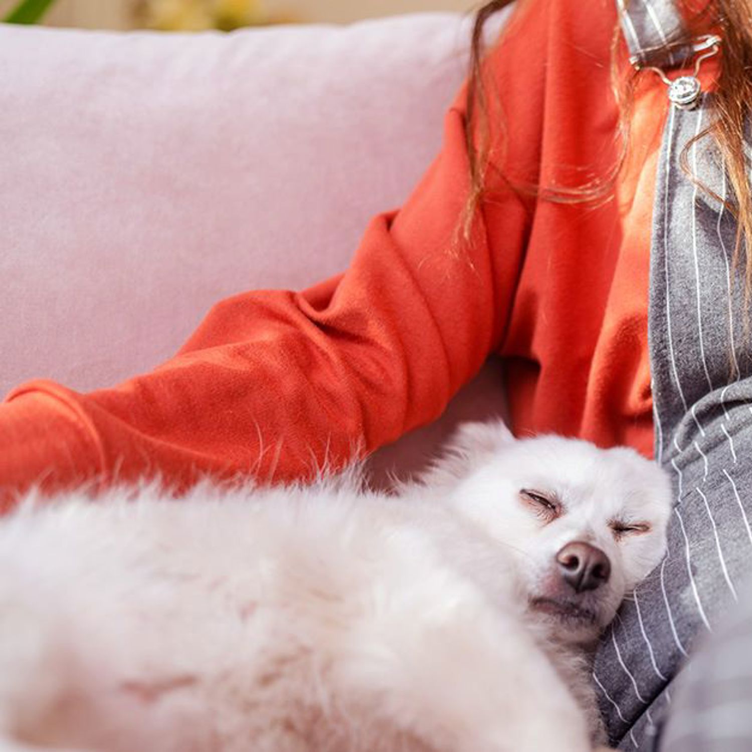 Kvinna och hund i en soffa